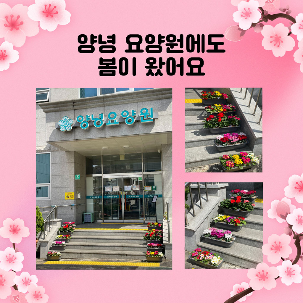 요양원에도 봄이 왔어요