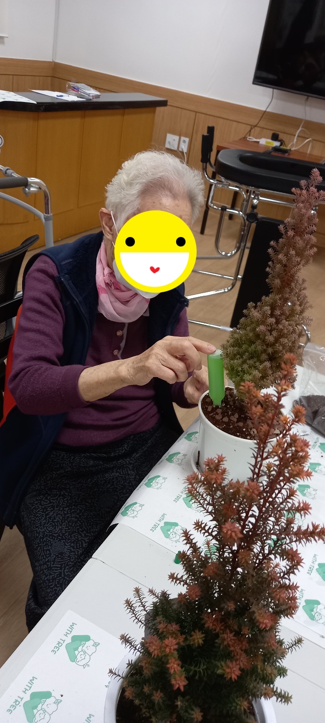 22.12.28 (수)_나무만들기